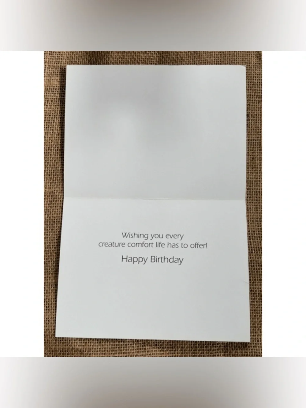 Jade By Jan Hoover Shih Tzu Dog Birthday Card Cute Animal Sweet Twee Framable